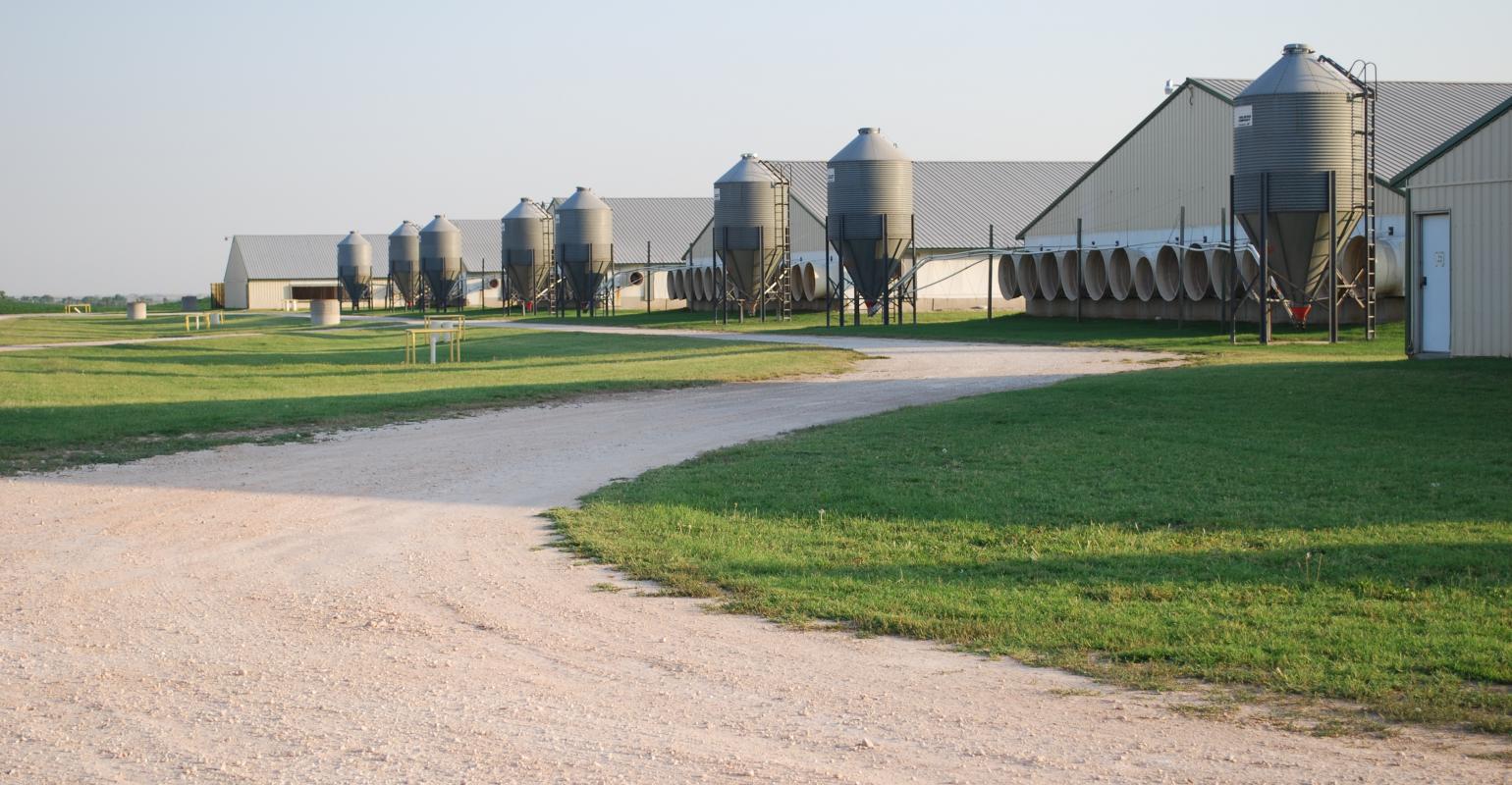 Pork Leaders Call Nuisance Lawsuit Outrageous Attack On Livestock Producers