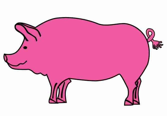 pink cartoon pig